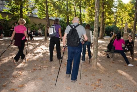 Nacionalni dan hodanja