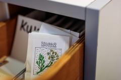 Knjižnica sjemena