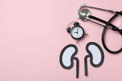 Svjetski dan bubrega