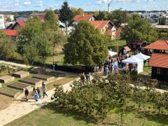Štampar
